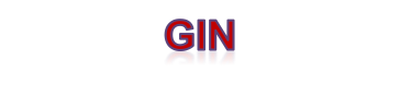 Gin