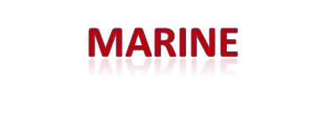 Marine