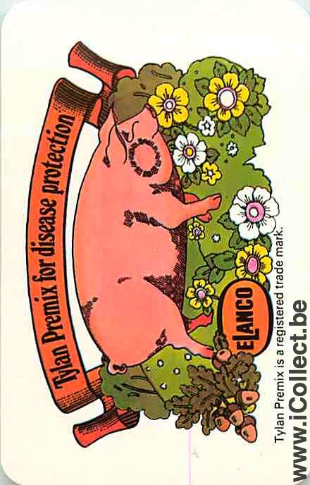 Single Swap Playing Cards Agriculture Pig Elanco (PS10-47A)