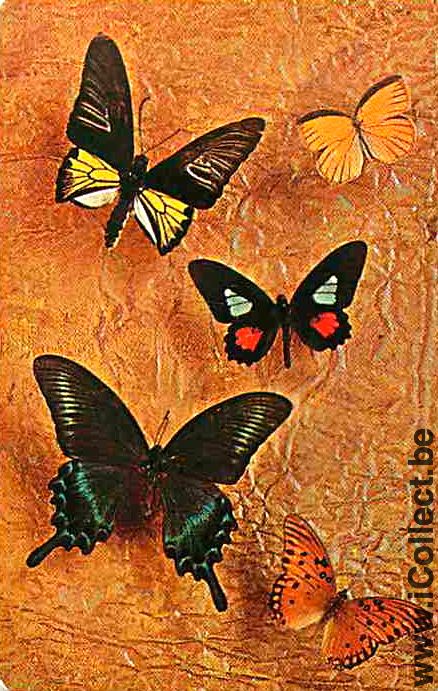 Single Swap Playing Cards Animal Butterfly (PS08-49B)