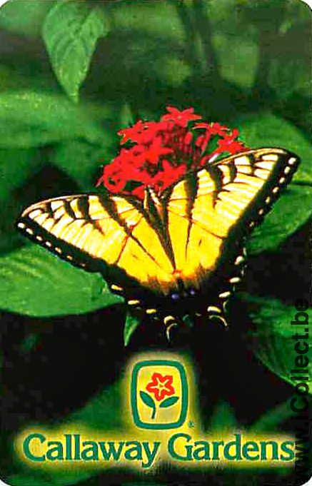 Single Playing Cards Animal Butterfly (PS08-49D)