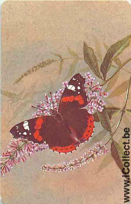 Single Playing Cards Animal Butterfly (PS11-45A) - Click Image to Close