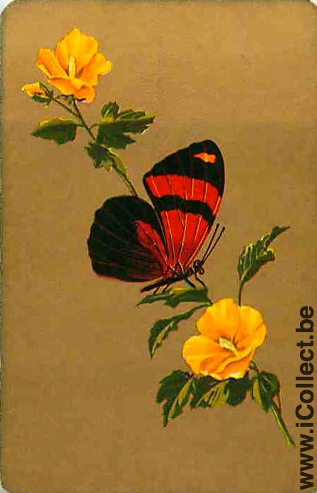 Single Swap Playing Cards Animal Butterfly & Flower (PS02-04A)