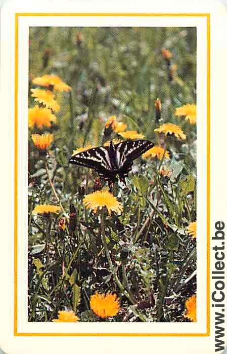Single Playing Cards Animal Butterfly (PS11-45F) - Click Image to Close