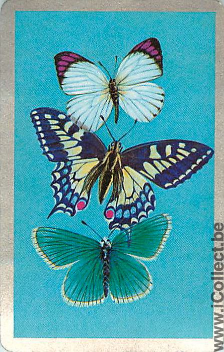 Single Swap Playing Cards Animal Butterfly (PS04-57B) - Click Image to Close