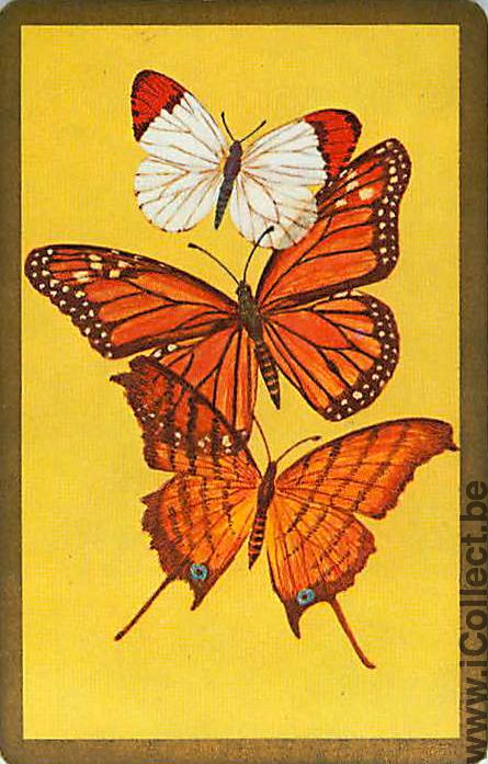 Single Swap Playing Cards Animal Butterfly (PS04-58F) - Click Image to Close