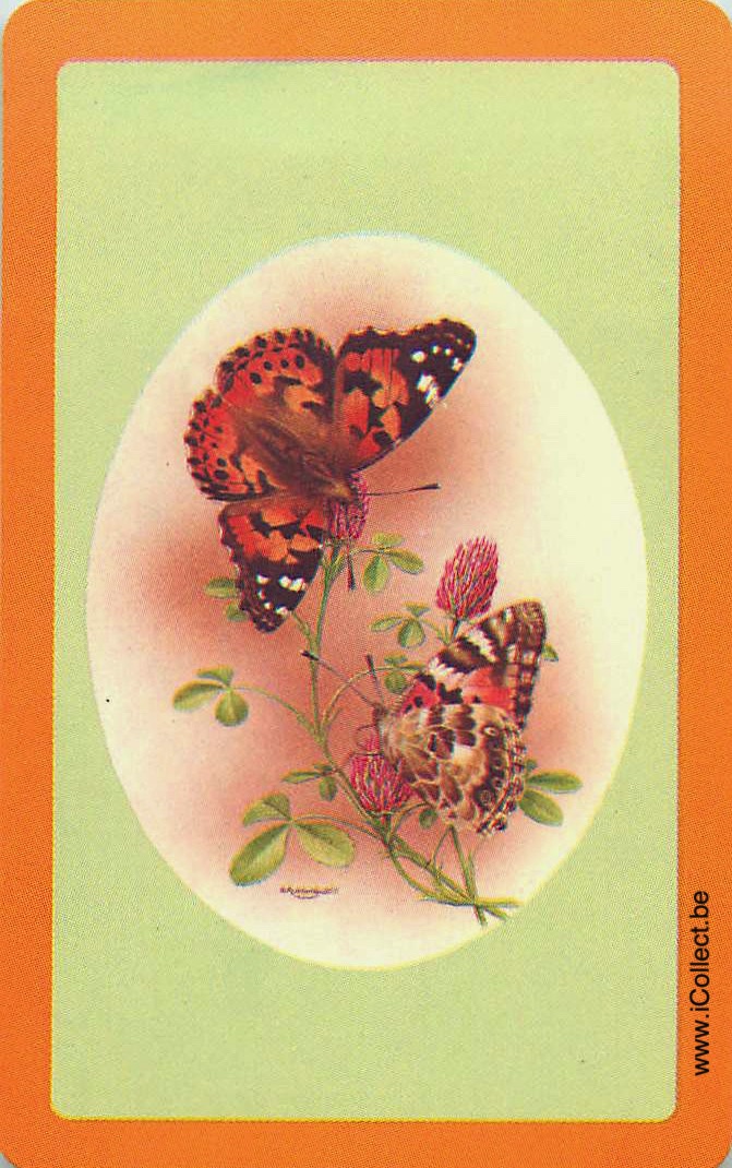 Single Swap Playing Cards Animal Butterfly (PS20-11I) - Click Image to Close