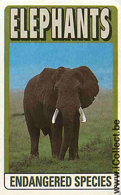 Single Playing Cards Animal Elephant (PS09-49I) - Click Image to Close