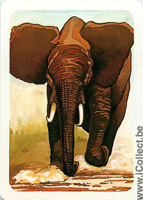 Single Playing Cards Animal Elephant (PS05-20H) - Click Image to Close