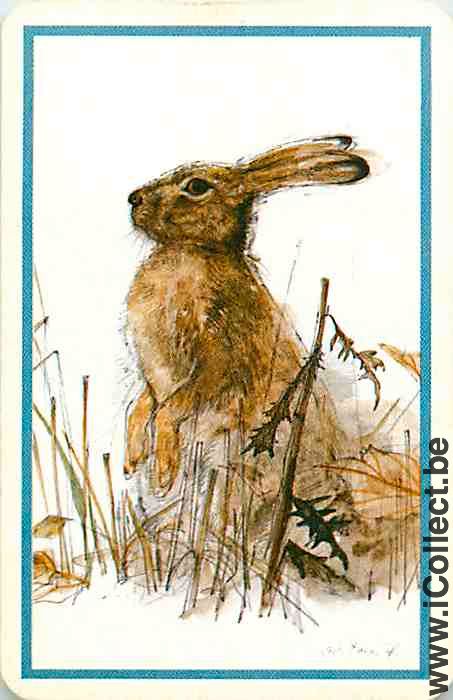 Single Playing Cards Animal Rabbit (PS09-50H)