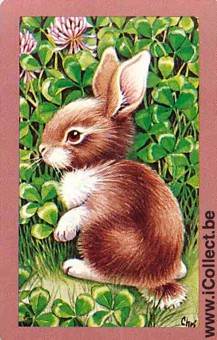 Single Playing Cards Animal Rabbit (PS09-50I)