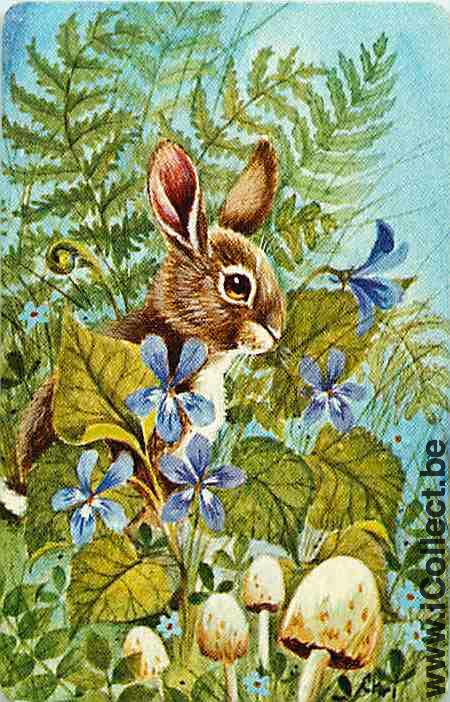 Single Swap Playing Cards Animal Rabbit (PS02-42H) - Click Image to Close