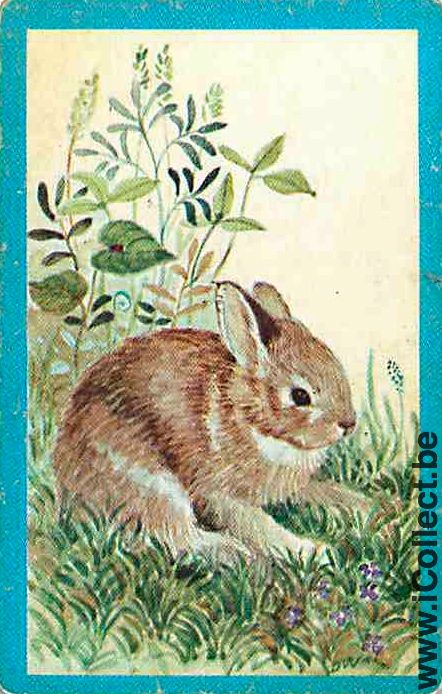 Single Playing Cards Animal Rabbit (PS09-51F)