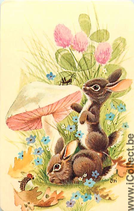 Single Playing Cards Animal Rabbits in nature (PS03-03C) - Click Image to Close