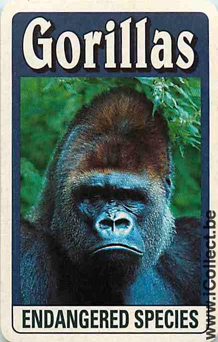 Single Swap Playing Cards Animal Gorillas (PS09-52D) - Click Image to Close