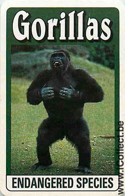 Single Swap Playing Cards Animal Gorillas (PS09-52E) - Click Image to Close
