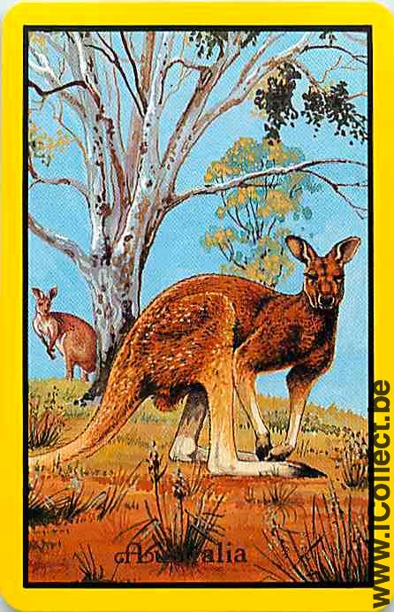 Single Swap Playing Cards Animal Wallaby (PS09-52I)
