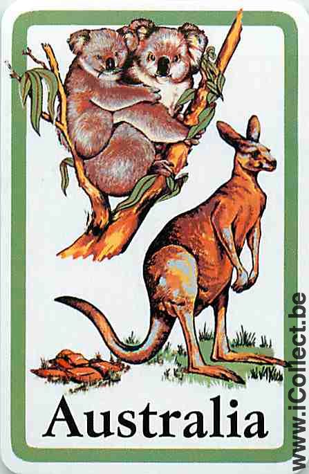 Single Playing Cards Animal Wallaby (PS09-53B)