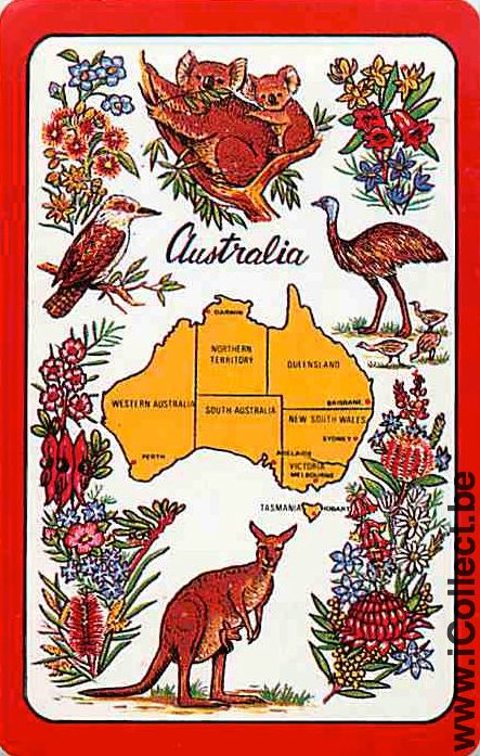 Single Playing Cards Animal Wallaby (PS09-54D)