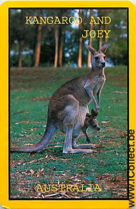 Single Swap Playing Cards Animal Wallaby (PS09-54G)
