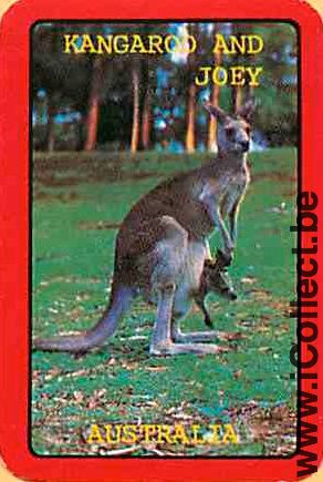 Single Playing Cards Animal Wallaby ***MINI***(PS09-54H)