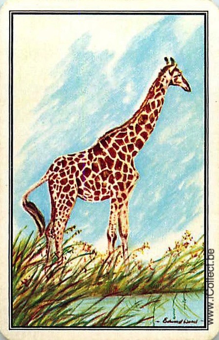 Single Swap Playing Cards Animal Giraffe (PS20-02H) - Click Image to Close