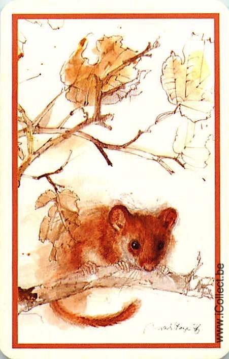 Single Swap Playing Cards Animal Mouse (PS20-29C) - Click Image to Close