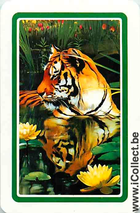 Single Playing Cards Animal Tiger (PS09-58E) - Click Image to Close