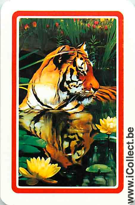 Single Playing Cards Animal Tiger (PS09-58F)