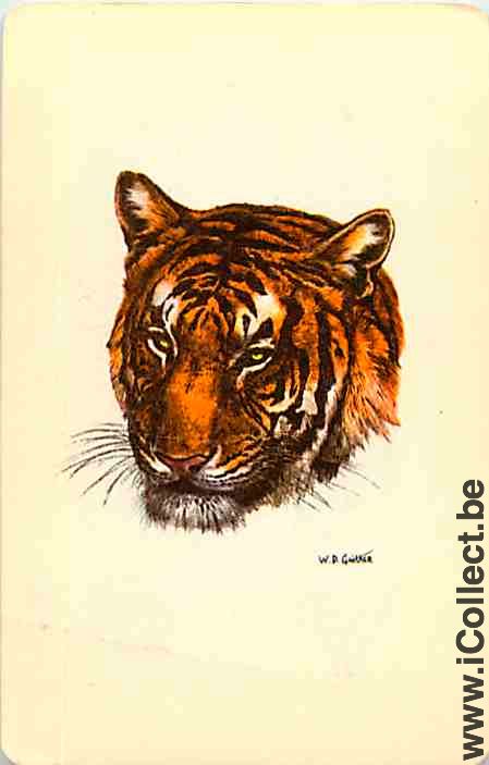 Single Swap Playing Cards Animal Tiger (PS09-58I)