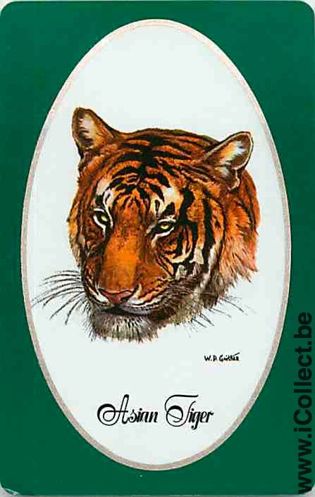 Single Playing Cards Animal Tiger (PS09-59A) - Click Image to Close