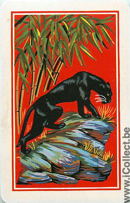Single Playing Cards Animal Panther (PS04-06F)