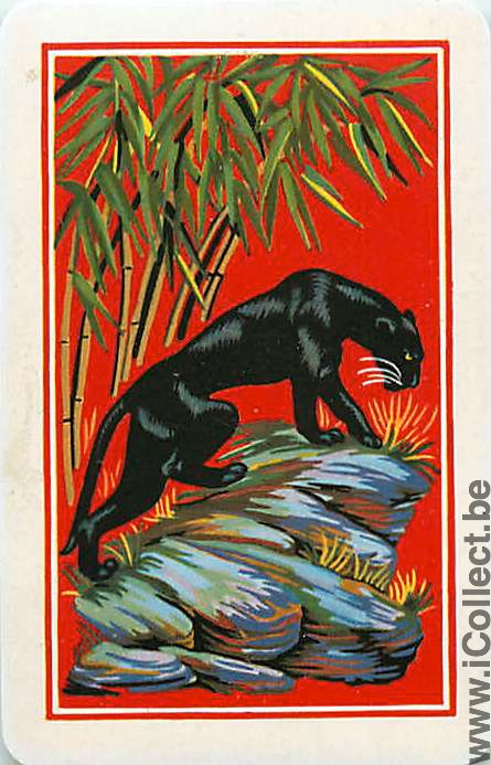 Single Playing Cards Animal Panther (PS04-06F) - Click Image to Close