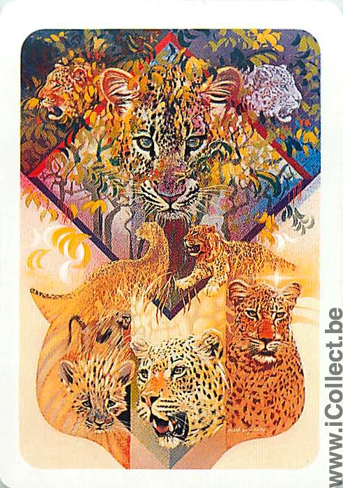 Single Playing Cards Animal Tigers (PS04-40D) - Click Image to Close