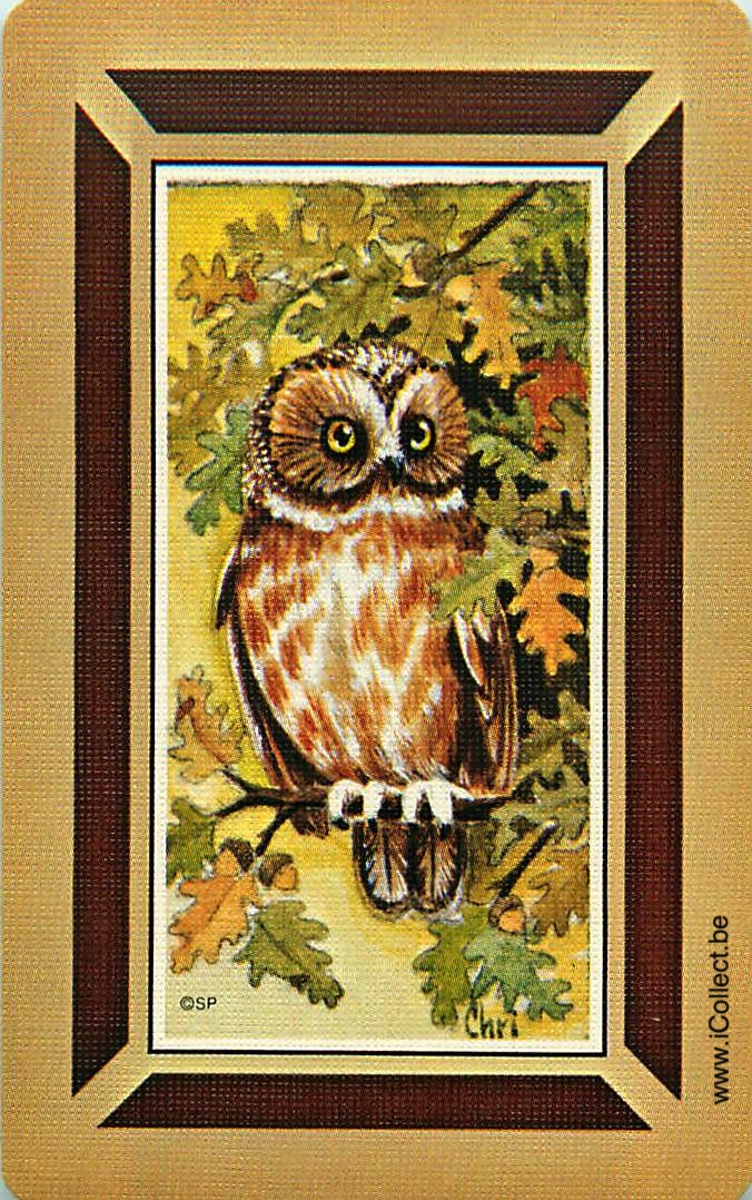 Single Swap Playing Cards Animal Owl (PS20-27C)
