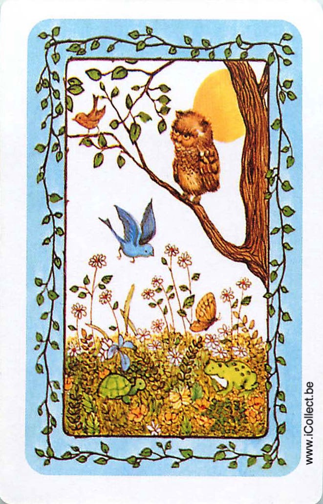 Single Swap Playing Cards Animal Owl & Bird (PS24-12E)