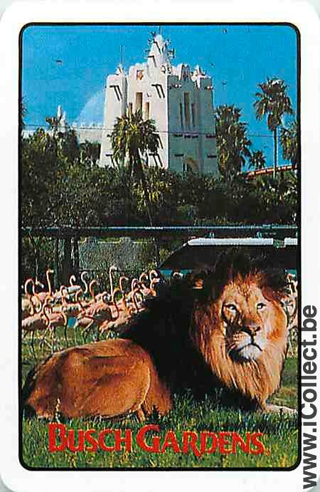 Single Swap Playing Cards Lion Bush Gardens (PS10-01C)
