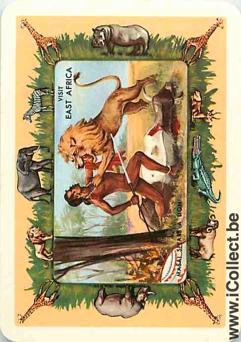 Single Swap Playing Cards Lion East Africa (PS05-17G) - Click Image to Close