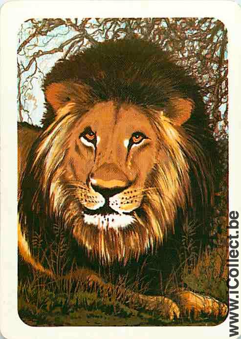 Single Swap Playing Cards Lion Head (PS08-41E)