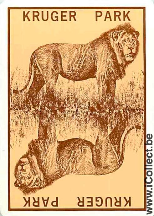 Single Swap Playing Cards Lion Kruger Park (PS01-16A)