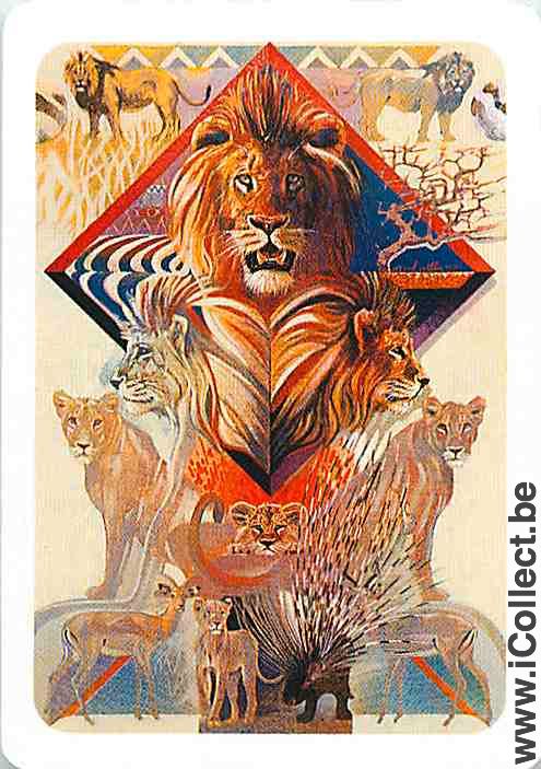 Single Swap Playing Cards Lion African Animals (PS10-06A)