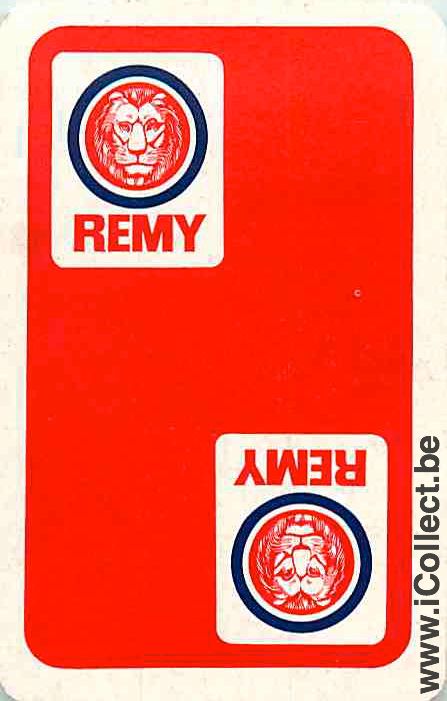 Single Swap Playing Cards Animal Lion Remy (PS01-34H)