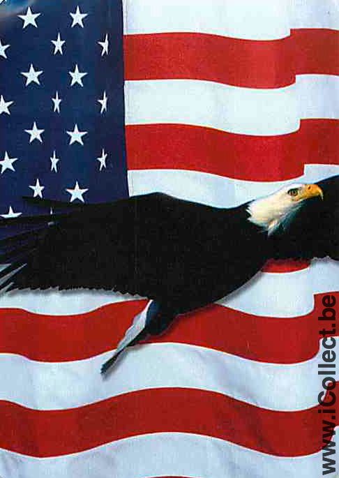 Single Playing Cards Animal Eagle USA Flag (PS10-10B) - Click Image to Close