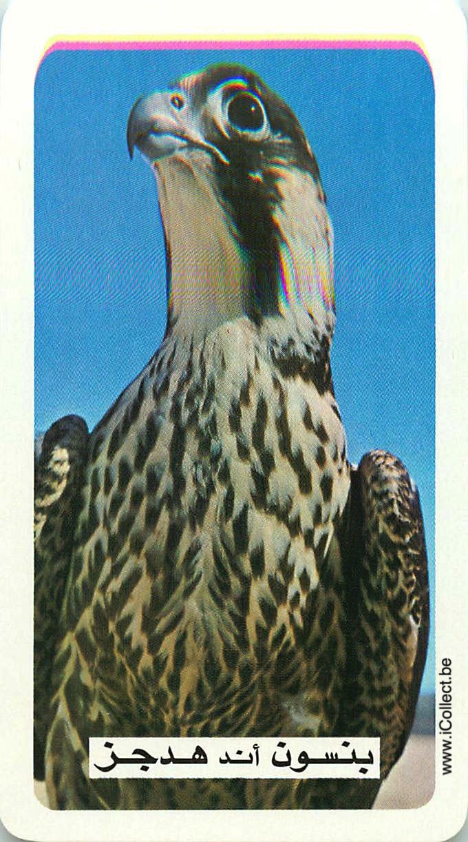 Single Swap Playing Cards Animal Eagle (PS20-27I) - Click Image to Close