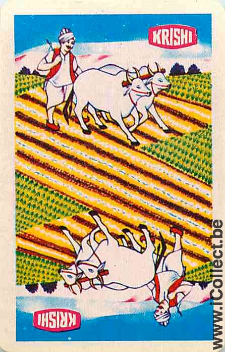 Single Swap Playing Cards Animal Cow Krishi (PS10-20A)
