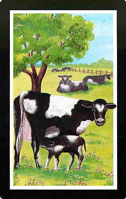 Single Playing Cards Animal Cow (PS10-20E) - Click Image to Close