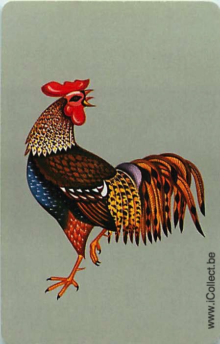 Single Swap Playing Cards Animal Cock (PS20-06B) - Click Image to Close