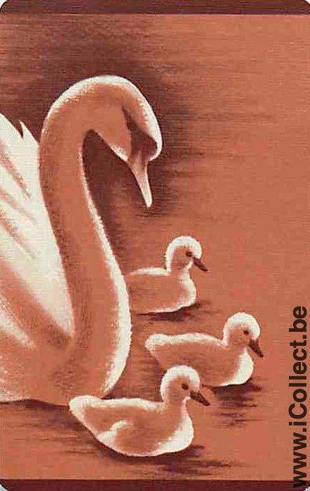 Single Playing Cards Animal Swan (PS12-08I)