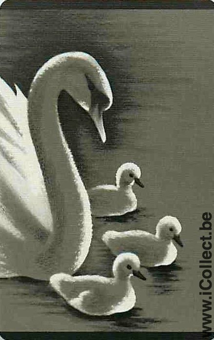 Single Playing Cards Animal Swan (PS12-09A)