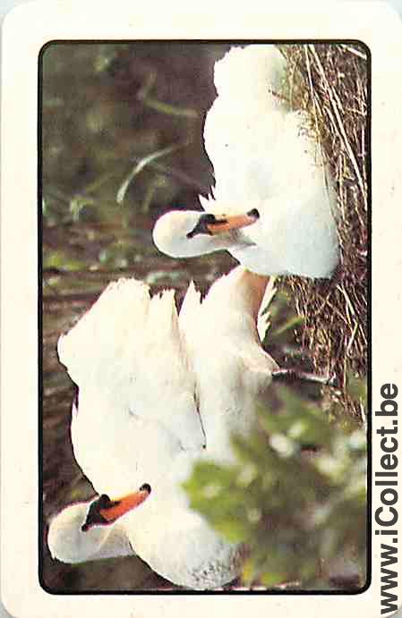 Single Playing Cards Animal Swan (PS12-09G) - Click Image to Close